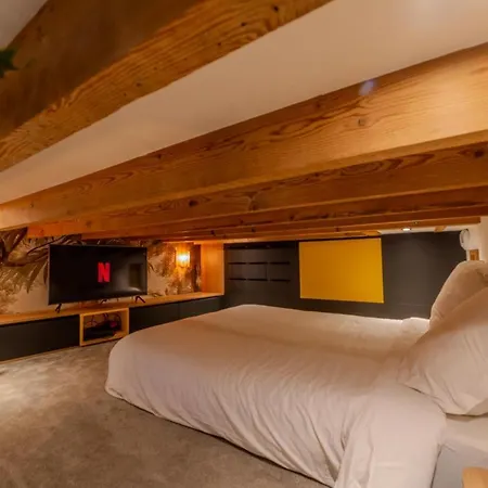 Apartment Magnifique De Caractere En Hypercentre Lyon