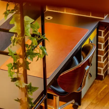 Apartment Magnifique De Caractere En Hypercentre Lyon