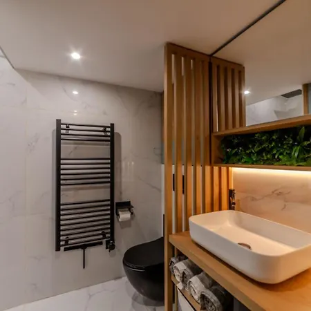Magnifique De Caractere En Hypercentre Apartment